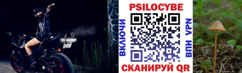 где продают Кондопога Псилоцибиновые грибы Psilocybe