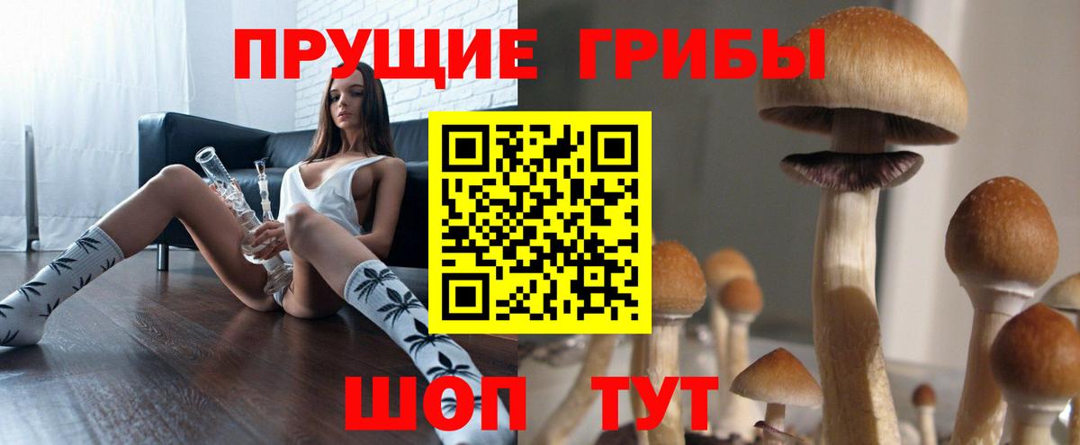 Галлюциногенные грибы мухоморы Кондопога
